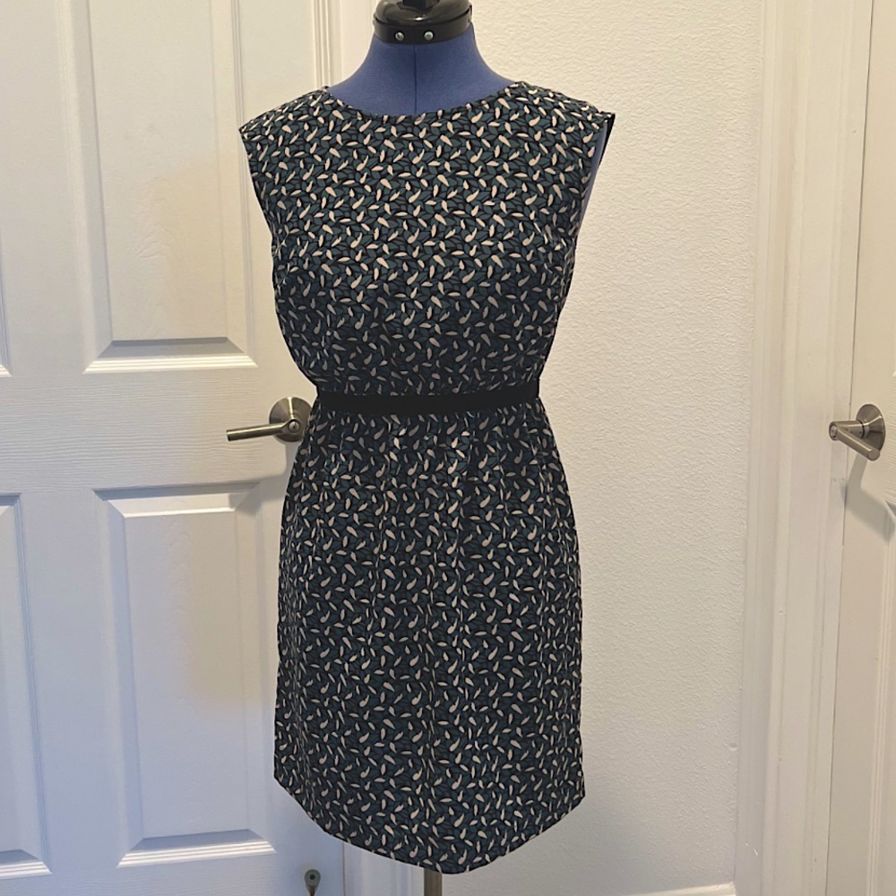 Loft Sleeveless Dress